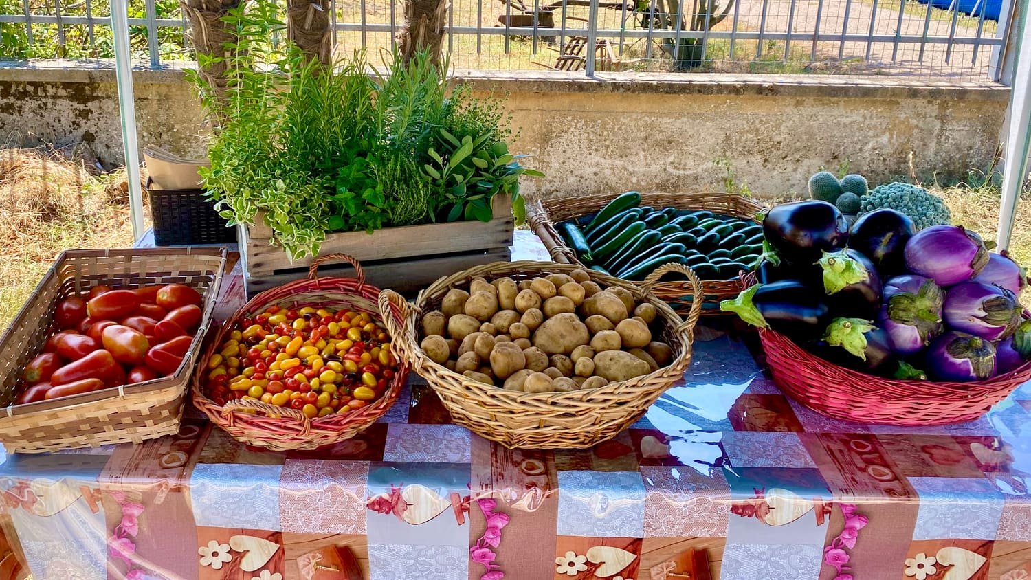 Il chioschetto di Società Agricola Andromeda in Via Ghedi 56/A a Montichiari, con le cassette di verdura in esposizione