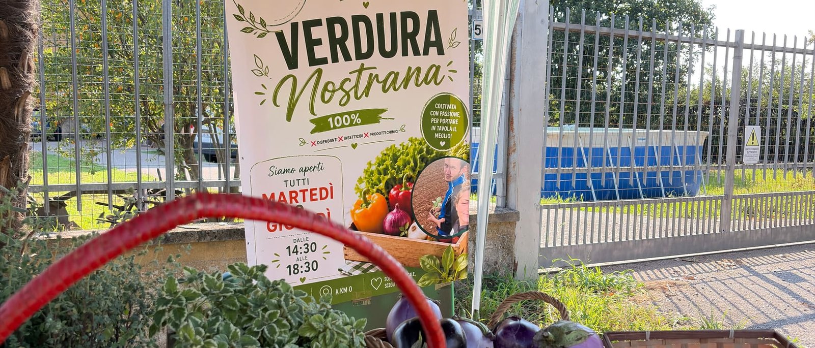 Giorgia porta la macchina a mano fra i filari: è così che si toglie l’erba, una fila per volta.