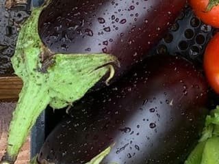 Melanzane nere e lucide con il picciolo verde, ancora bagnate