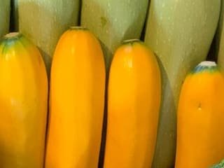 Zucchine gialle allineate nella cassetta, appena raccolte