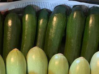 Zucchine verde scuro e verde chiaro allineate nella cassetta